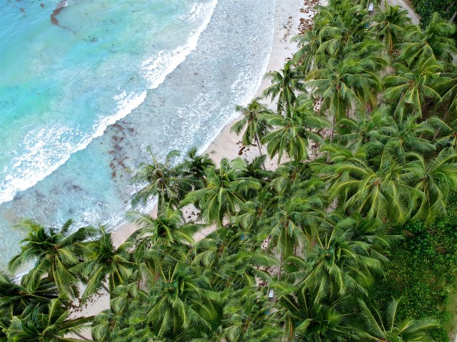 Drohnenaufnahme vom White BeachPalmen, weißer Sand und türkises Meer
